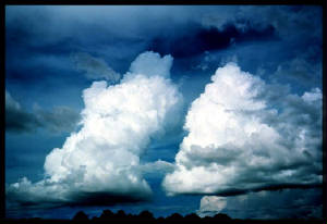wea00088.jpg